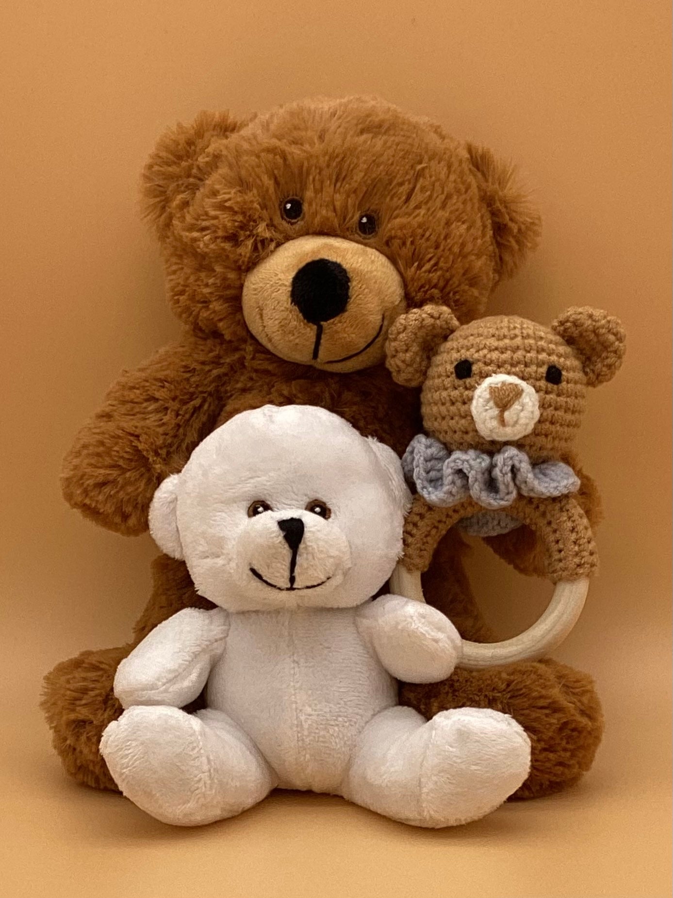 Teddy Bear Delivery: Send Teddy Bear Gifts | FTD